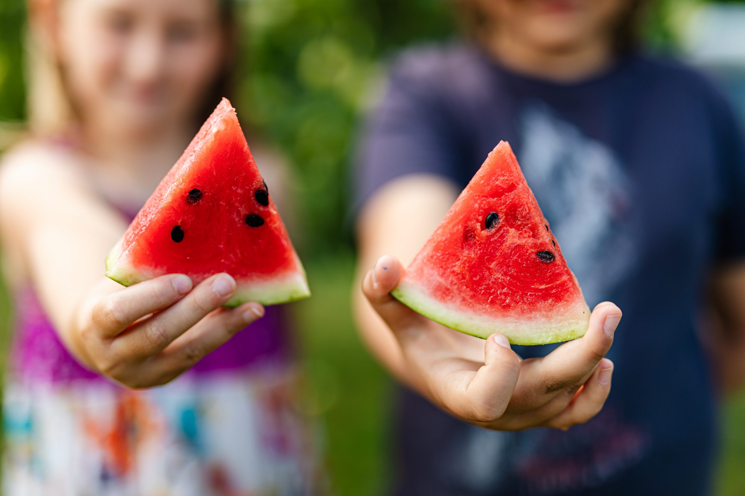 Food Summer International Montessori School