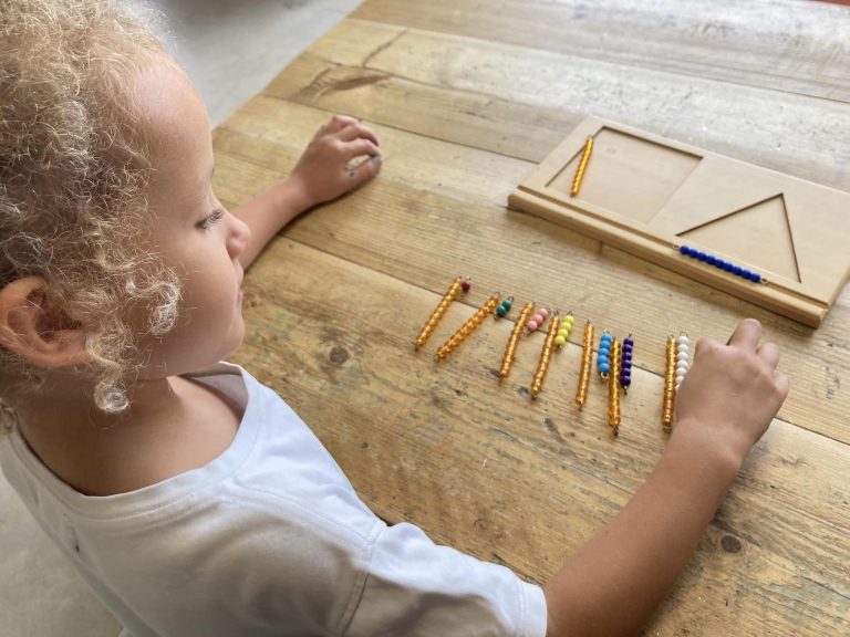 Cómo la educación Montessori fomenta aprendices independientes para toda la vida.