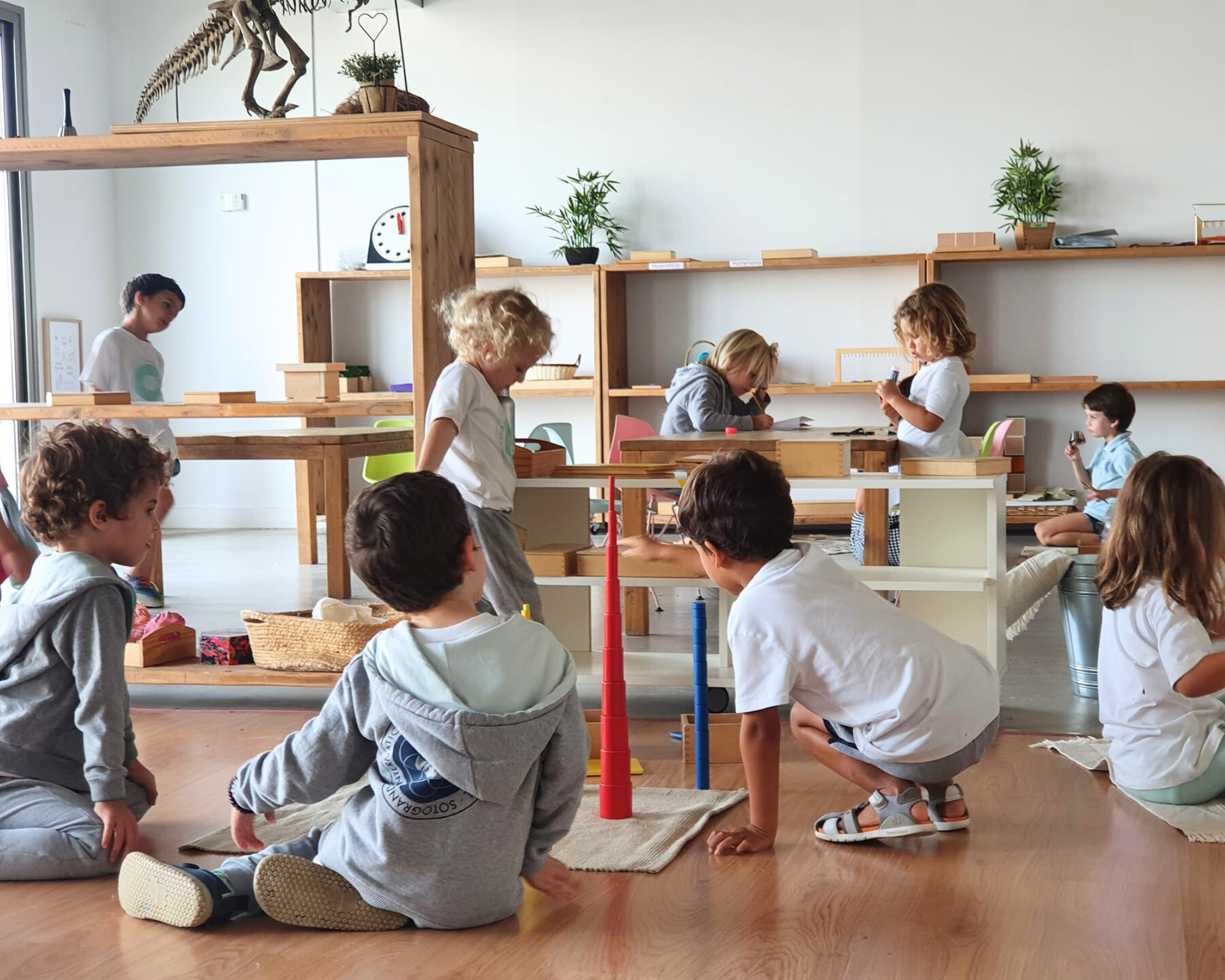 IMS Classrooms